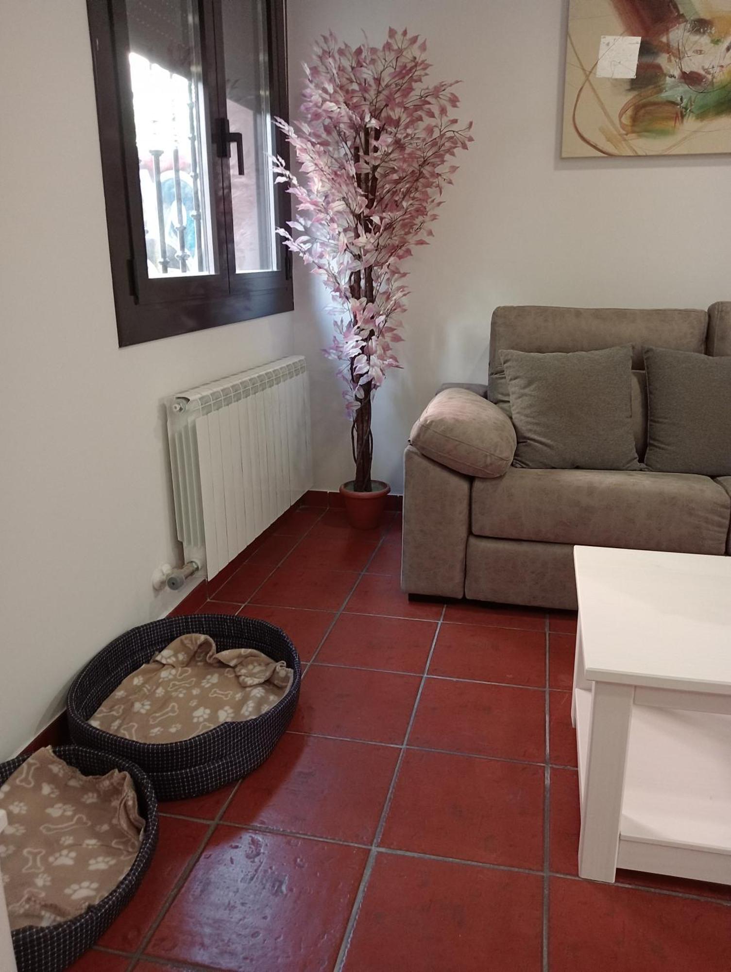Apartamentos La Piedra En Pleno Centro Historico Con Dos Dormitorios Y Dos Banos Nájera Εξωτερικό φωτογραφία
